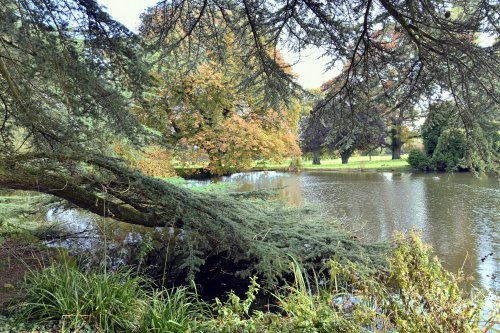 Dumbleton Hall Grounds