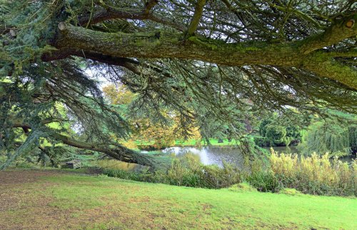 Dumbleton Hall Grounds