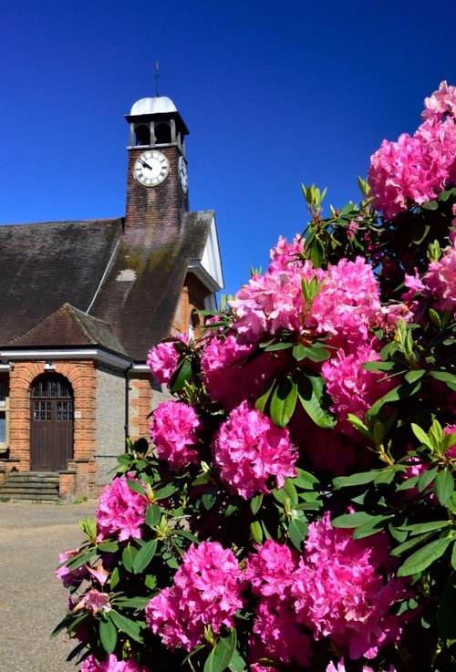 Spring View of Whiteley Village Hall