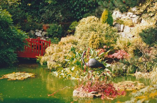 Compton Acres Garden