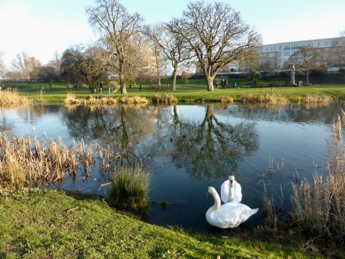 A Peaceful Scene in Gordon Gardens, Gravesend, Kent.