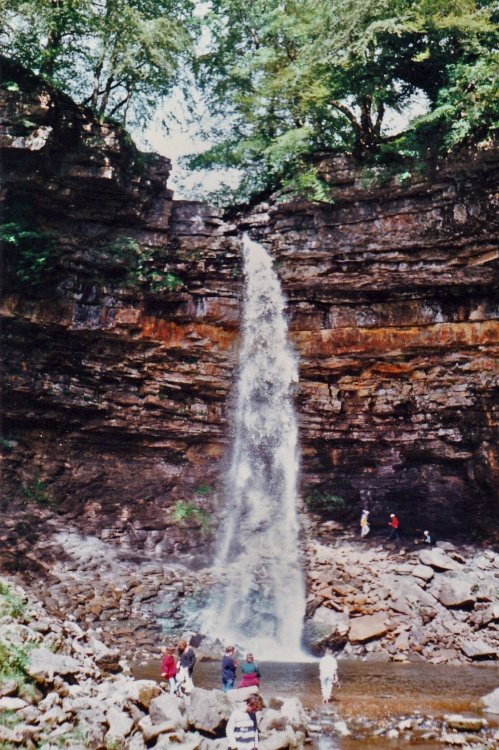 Hardraw Force