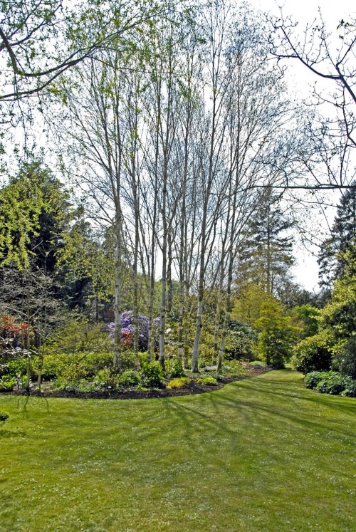 Newby Hall Garden