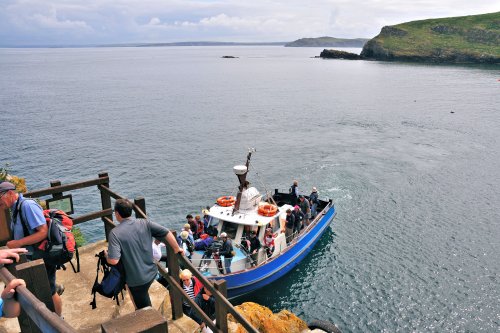 The Dale Princess Arrives at Skomer