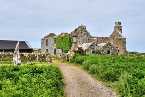 The Old Farm on Skomer Island