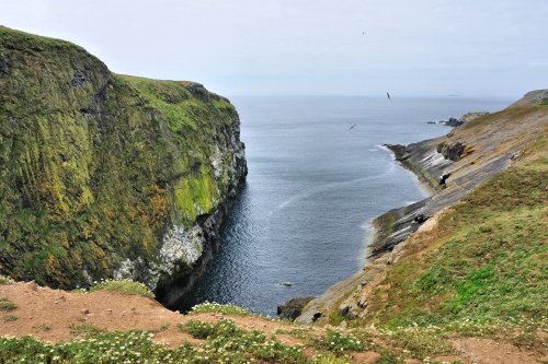 View of The Wick on Skomer Island