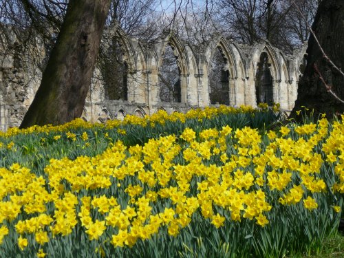 St. Mary's Abbey and York Museum Gardens