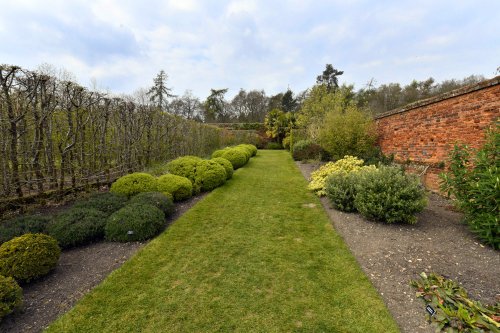 Marks hall Estate Garden