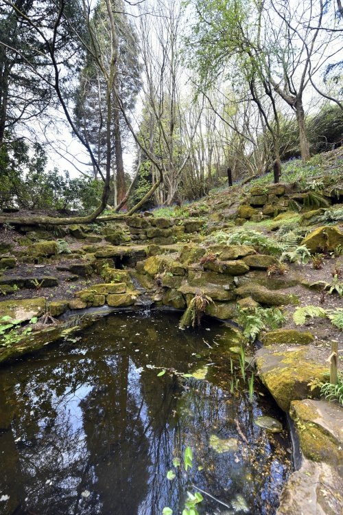 Riverhill Himalayan Garden