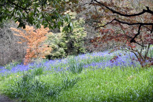 Riverhill Himalayan Garden