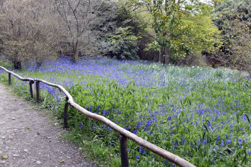 Riverhill Malayan Garden in Sevenoaks