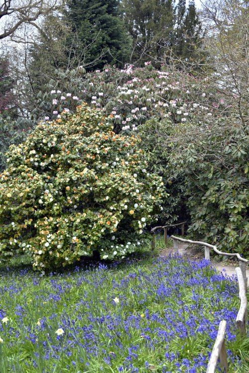 Riverhill Malayan Garden in Sevenoaks