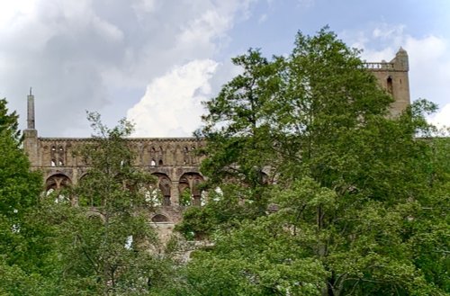 Jedburgh Abbey through the Trees.