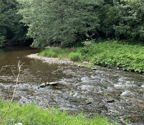 Jedburgh and Jed Water.