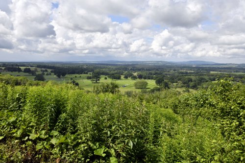 View from Duncton Viewpoint