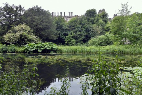 The Water Garden at Arundel Castle