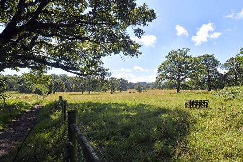 Hatchlands Park