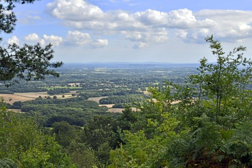 View from Leith Hill