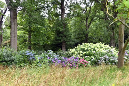 Doddington Place Woodland Walk