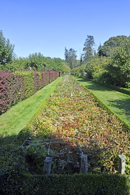 Penshurst Place Gardens