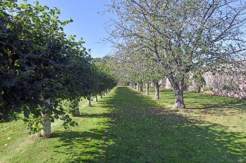 Penshurst Place Gardens