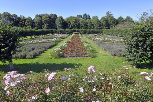 Penshurst Place Gardens