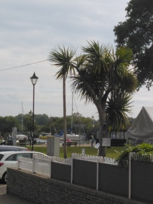 Nice scene at Town Quay, Christchurch