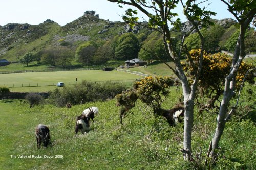 The Valley of Rocks