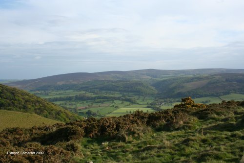 Exmoor