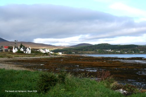 The beach at Harrapool