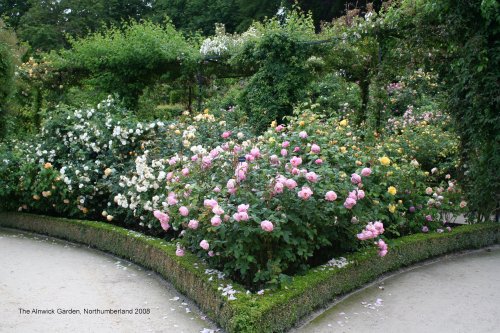 The Alnwick Garden in Alnwick