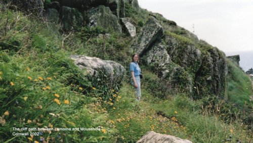 The cliff path between Lamorna and Mousehole