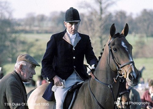 11th Duke of Beaufort 1995