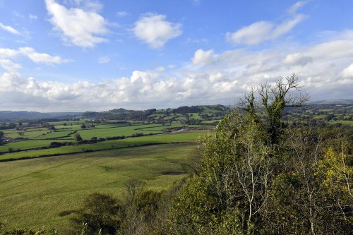 View from Dinefwr Castle