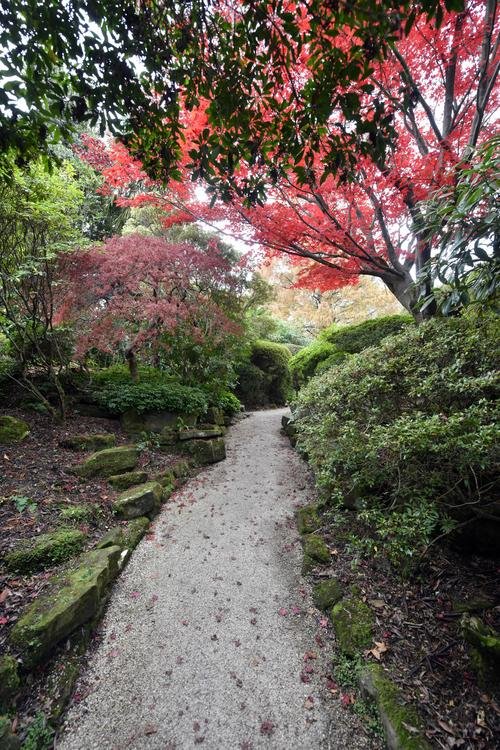 Leonardslee Gardens, Horsham