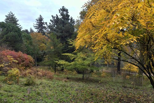 Leonardslee Gardens