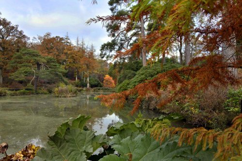 Leonardslee Gardens