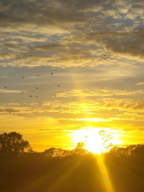 Sunset in Burton near Christchurch