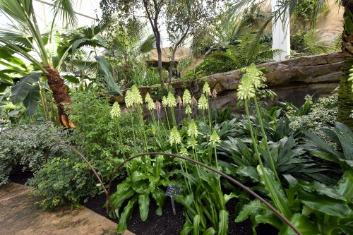 RHS Garden at Wisley