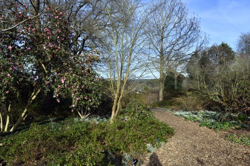 The gardens at RHS Wisley