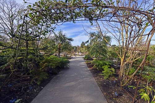 The gardens at RHS Wisley