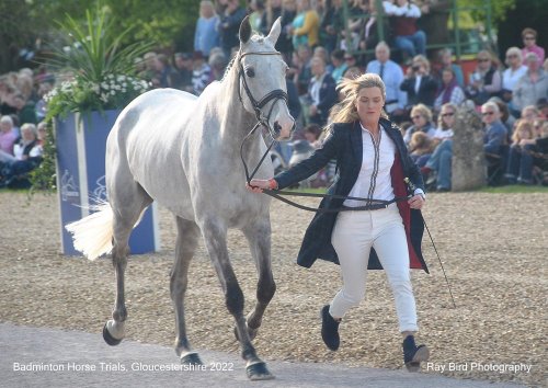 Badminton Horse Trials, Gloucestershire 2022