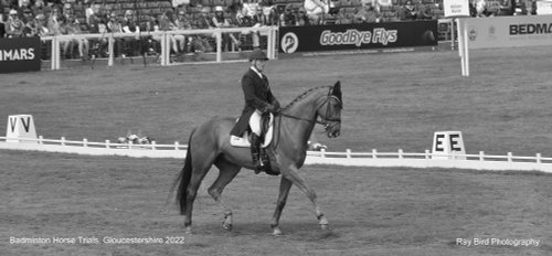 Badminton Horse Trials, Gloucestershire 2022