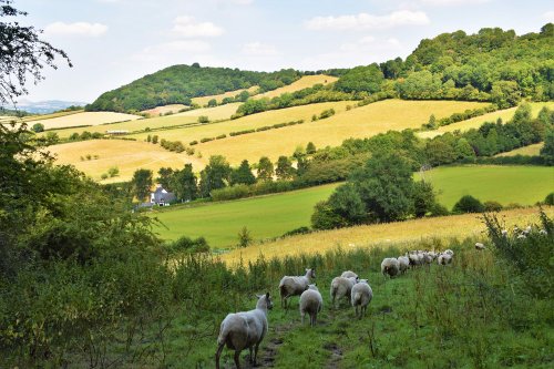 Looking North down the valley from Goat Lane.