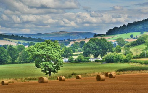 Hay Bales at Long Meadow end South Shropshire with Brown Clee in the distance.