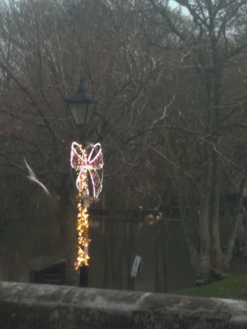 Christmas time in Christchurch by the river