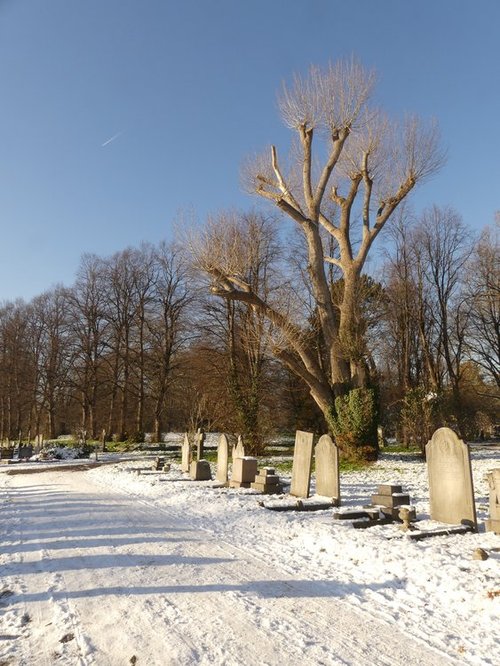 Ladywell Cemetery in The Snow