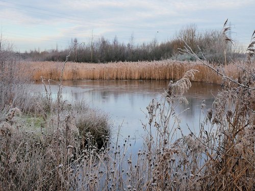 Frosty Morning RSPB Old Moor