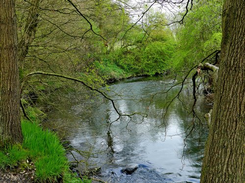 River Dearne  Cudworth