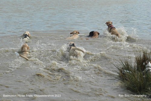 Badminton Horse Trials, Gloucestershire 2023